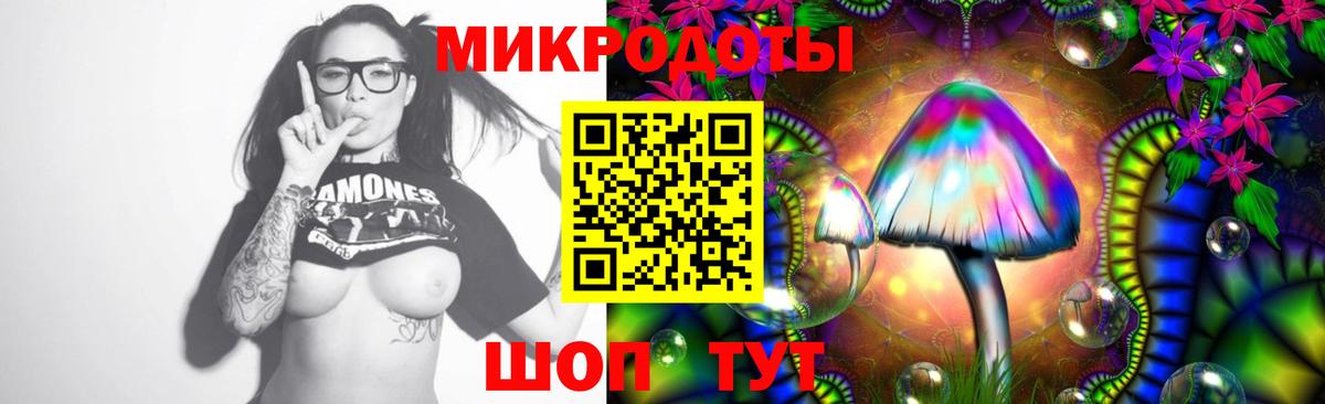 Псилоцибиновые грибы Psilocybine cubensis  Вход с VPN  Белово  Псилоцибиновые грибы прущие грибы 